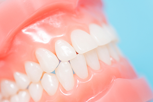 ［画像］歯はどうして大切なの？